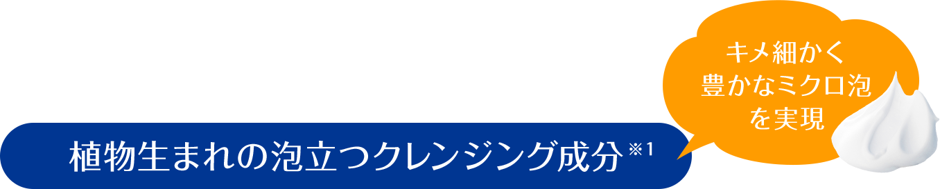 植物生まれの泡立つクレンジング成分