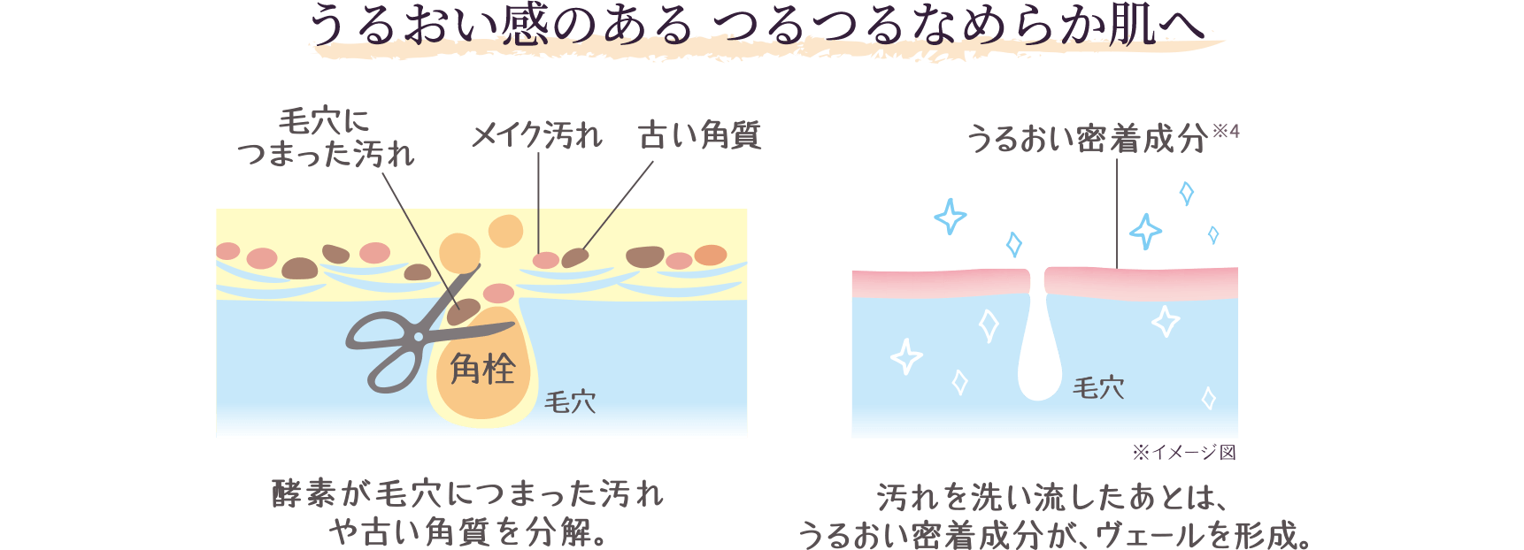 うるおい感のある つるつるなめらか肌へ 酵素が毛穴につまった汚れや古い角質を分解。 汚れを洗い流したあとは、うるおい密着成分がヴェールを形成。