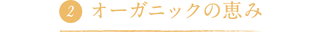 オーガニックの恵み