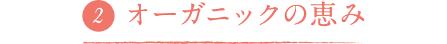 オーガニックの恵み