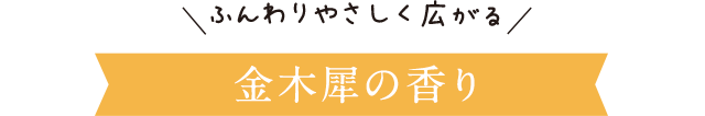 ふんわりやさしく広がる 金木犀の香り