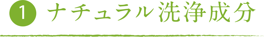 ナチュラル洗浄成分