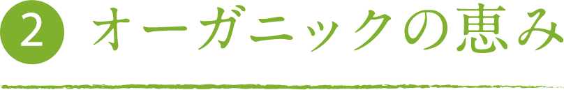 オーガニックの恵み