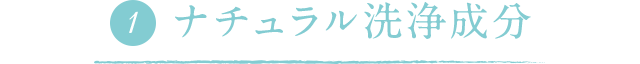 ナチュラル洗浄成分