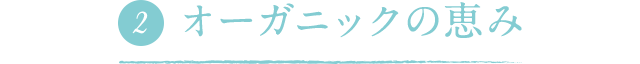 オーガニックの恵み