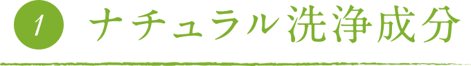 ナチュラル洗浄成分